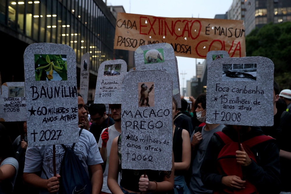 Manifestación Sao Paulo contra el cambio climático  / FERNANDO BIZERRA JR.