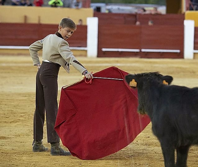 Triunfal regreso de los toros en Ávila