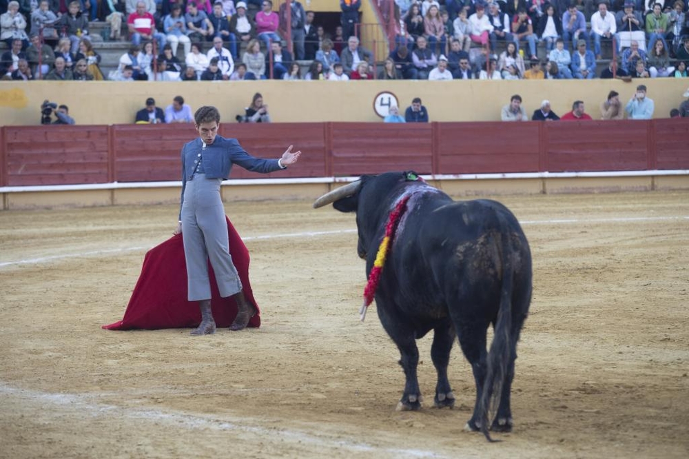 Espectáculo Taurino  / ISABEL GARCÍA