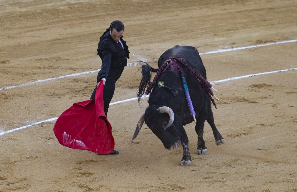 Primera corrida de toros en Ávila tras la crisis sanitaria.  / DAVID CASTRO