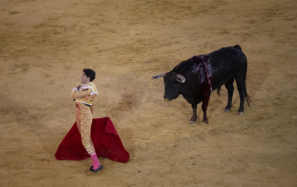 Primera corrida de toros en Ávila tras la crisis sanitaria.  / DAVID CASTRO