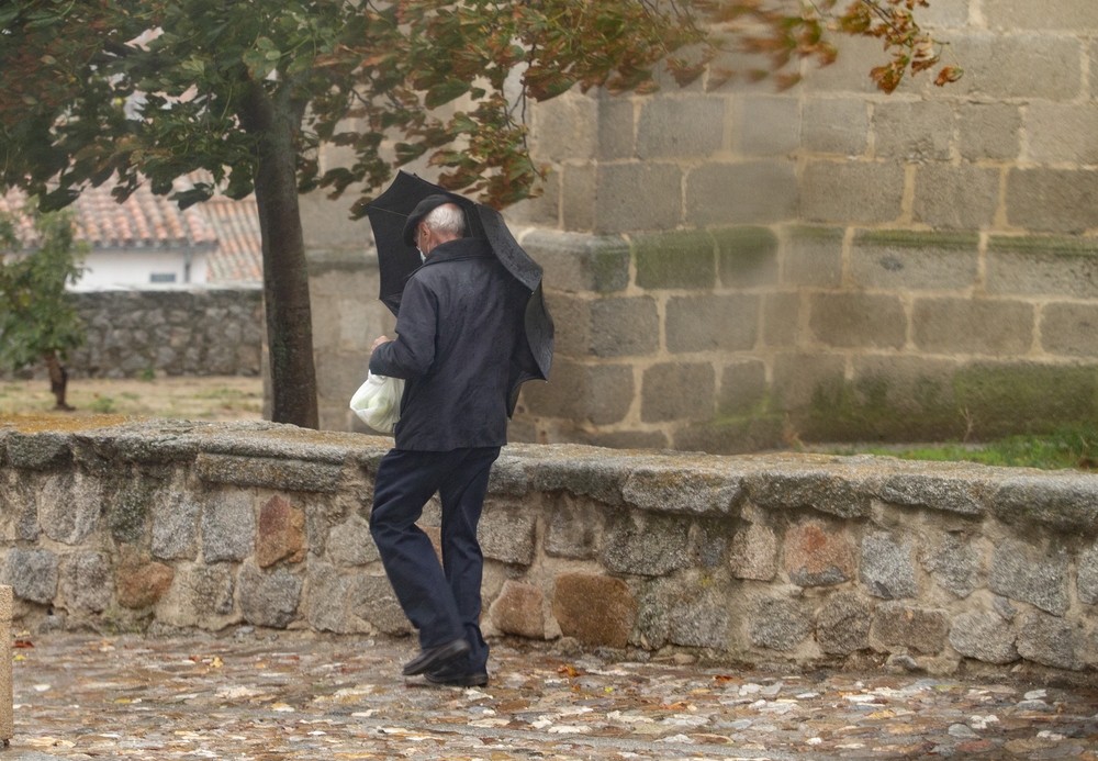 Temporal de viento y lluvia en la capital.  / DAVID CASTRO