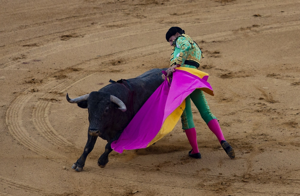 Segunda corrida de la feria taurina celebrada el fin de semana en Ávila.