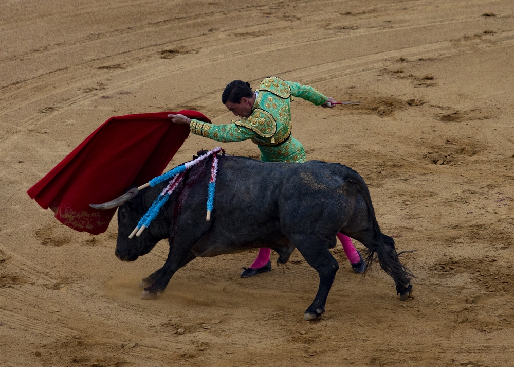 Segunda corrida de la feria taurina celebrada el fin de semana en Ávila.  / DAVID CASTRO