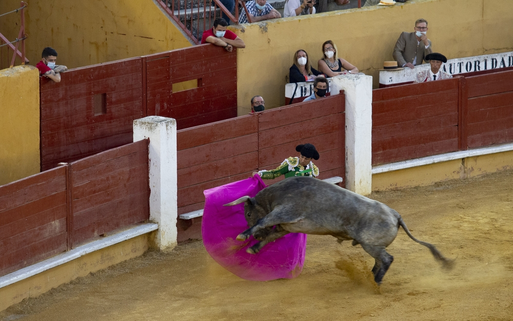 Segunda corrida de la feria taurina celebrada el fin de semana en Ávila.  / DAVID CASTRO