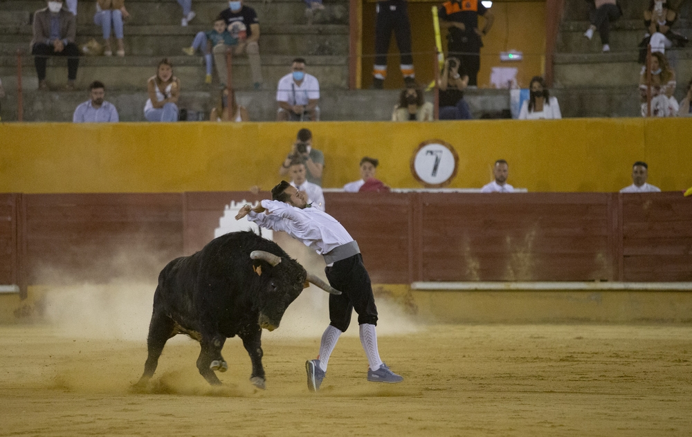 Concurso de recortes en la plaza de toros de Ávila.