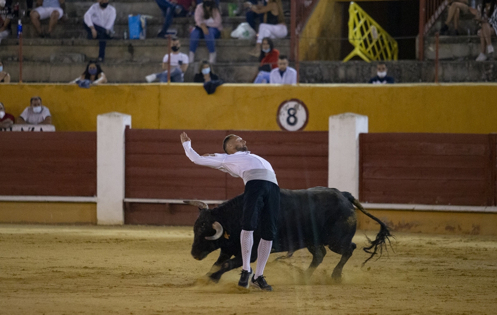 Concurso de recortes en la plaza de toros de Ávila.  / DAVID CASTRO