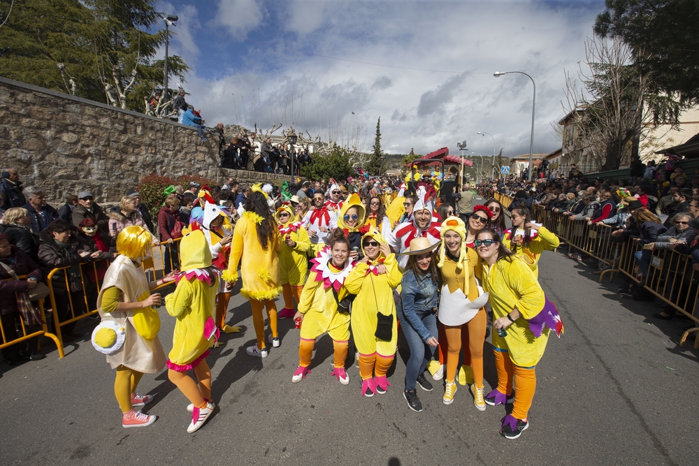 Desfile del Domingo de Piñata en el Carnaval de Cebreros Interprovincial.  / ISABEL GARCÍA