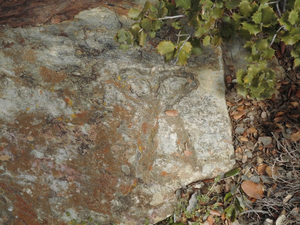 La sierra de Ávila esconde un tesoro entre sus piedras