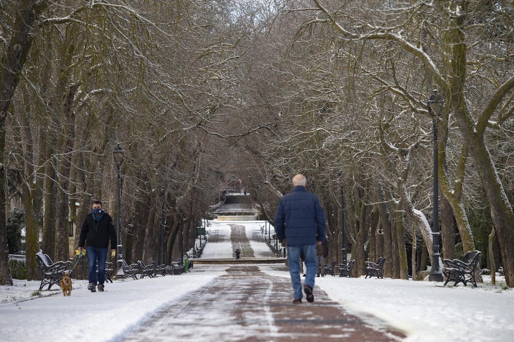 Seis quitanieves y tres barredoras son los medios materiales activados por el Plan de Nevadas de Ávila, que lleva operativo desde las primeras horas del nuevo año.  / DAVID CASTRO