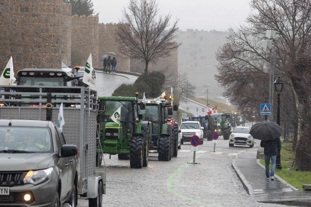 Tractorada por las calles de Ávila organizada por UCCL.  / DAVID CASTRO