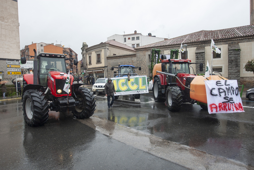 Tractorada por las calles de Ávila organizada por UCCL.  / DAVID CASTRO