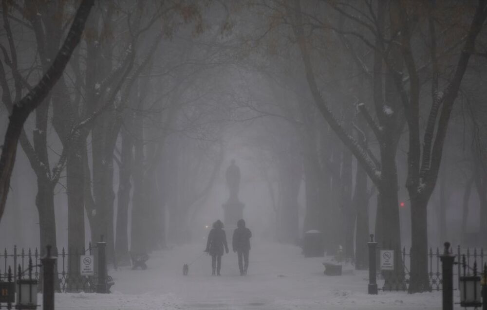 Winter Storm in Boston  / CJ GUNTHER