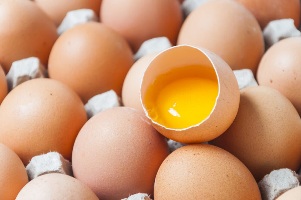 Los mitos sobre el huevo se derriban