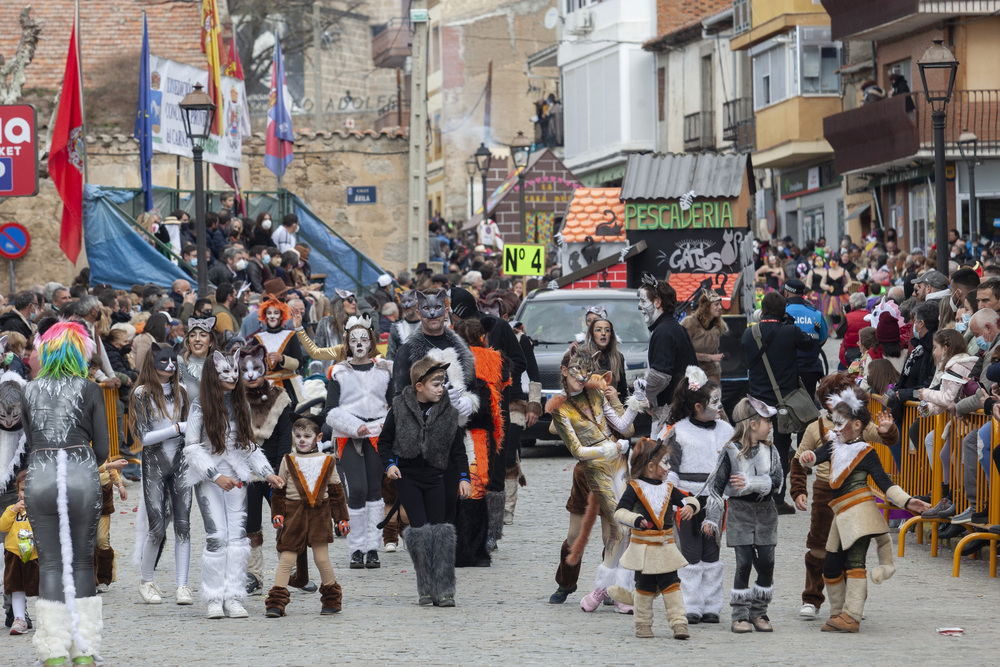 Carnaval Provincial de Cebreros.  / DAVID CASTRO