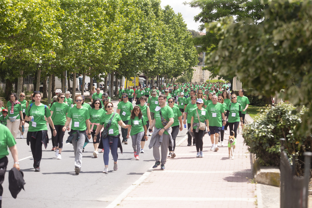 Ávila se vuelve a teñir de verde esperanza contra el cáncer