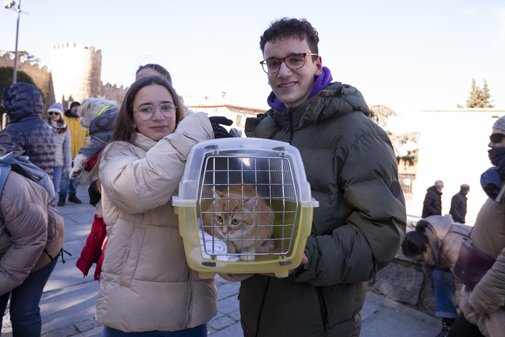 Festividad de San Antón, Bendición de animales en San Vicente.  / ISABEL GARCÍA