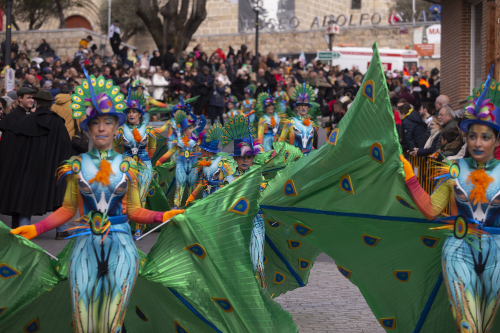  La localidad abulense de Cebreros celebra en Domingo de Piñata con la XXV del Concurso Provincial de Carrozas y Comparsas de su Carnaval, que ya es fiesta de interés turístico nacional.  / DAVID CASTRO