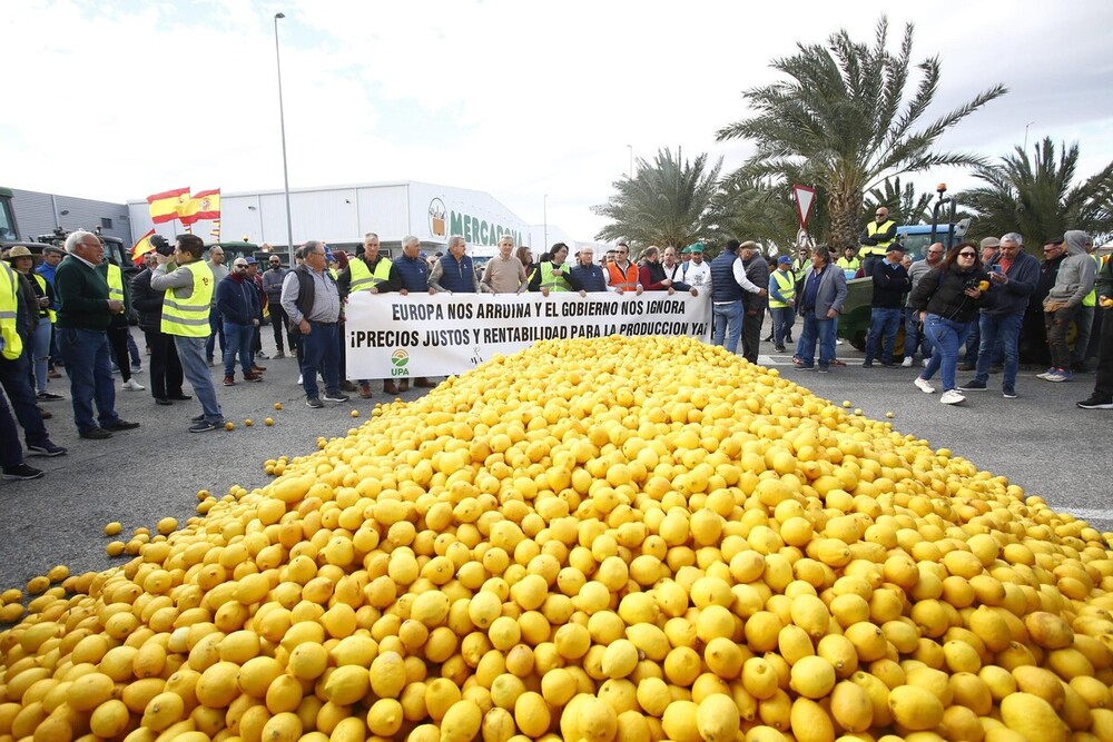 Agricultores y ganaderos de toda España han sacado sus tractores a las carreteras por undécimo día consecutivo