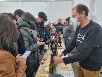 La Feria del Vino deCebreros pone el énfasis en la formación
