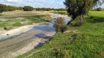 La CHD destina 1,3M€ a las obras fluviales del río Trabancos