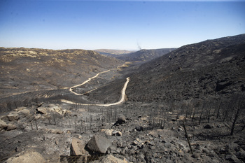 36.000 hectáreas arrasadas por incendios en Ávila en 10 años