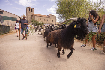 Riofrío celebra la primera fiesta de pastoreo popular