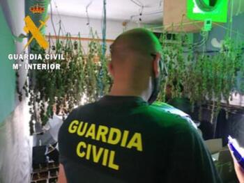 Detenida una familia en Las Navas por cultivo de Marihuana