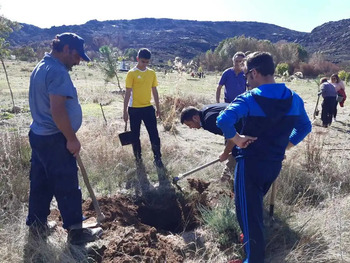 Unas 180 personas plantarán 2.000 árboles en Riofrío