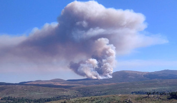 Estabilizado y sin llama el incendio forestal en Ávila