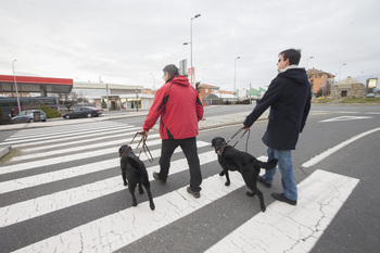 ONCE pide el acceso de tres perros guía al transporte público