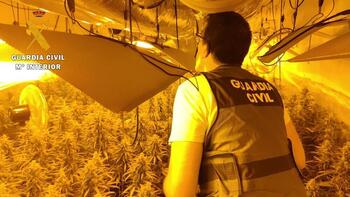 Descubren un laboratorio de marihuana en casa de Navahondilla
