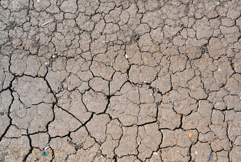 La lucha de Arabia Saudí, África y Latinoamérica contra la sequía