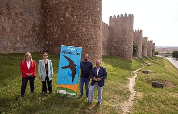 Ávila organiza el Primer Festival de los Vencejos