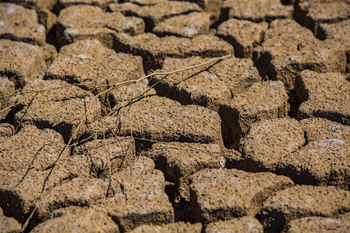El campo califica de escasas las medidas contra la sequía