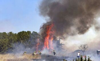 El fuego arrasa menos de 750 hectáreas de terreno este verano