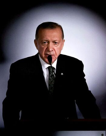 Erdogan persiste en su veto a la entrada de Suecia en la OTAN
