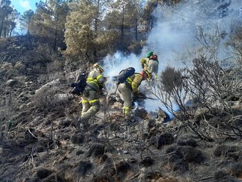 Extinguido el incendio forestal en Guisando