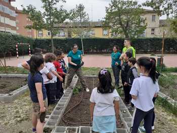Un huerto escolar para la educación ambiental