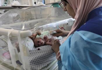 Los 28 bebés evacuados de Gaza a Egipto están en estado crítico