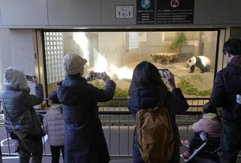Miles de nipones despiden al panda Xiang Xiang