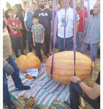 Un navaloseño gana la Feria de la Calabaza de Igüeña (León)