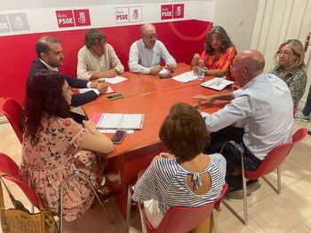 El PSOE busca adelantar la aprobación del acelerador en Ávila
