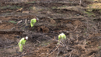 2,4 millones para proteger el suelo en Sotalbo tras el fuego