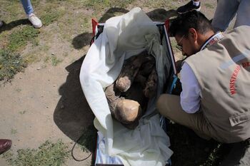 Hallan una momia en la mochila de un repartidor en Perú