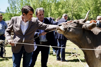 Quiñones defiende a la ganadería en extensivo como fundamental