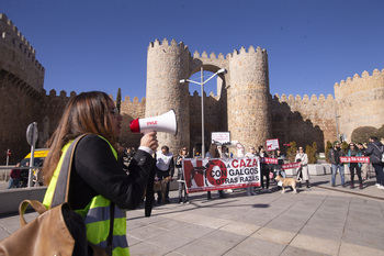 Escaso éxito en Ávila de la manifestación contra la caza