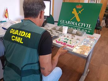 Nueve personas detenidas en dos operaciones antidroga en Ávila