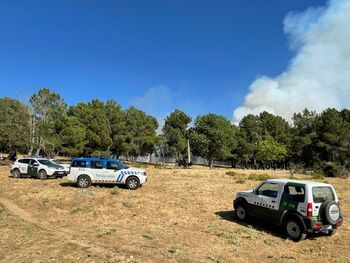 Vigilante Gracia actividad incendio las navas | Noticias Diario de Ávila